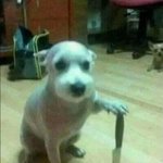 진짜 돈없이도 행복할 수 있다 생각해?