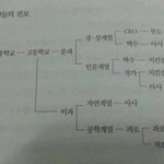 한국인의 <b>진로</b>