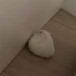 짝사랑/첫사랑 썰 ㄱㄱ 나부터 푼다