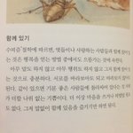 [댓글부탁해] 다들 <b>새</b>학기 첫날 뭐입을거야?