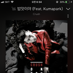 크러쉬의 개띵곡