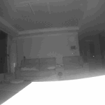 고양이 두마리를 데려왔는데요...홈 <b>CCTV</b>에 이상한게 찍혔어요