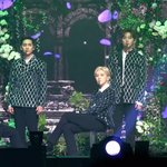 [뉴이스트] 인터공원 연간공연 순위 (6위 9위)