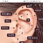 [댓글부탁해] <b>트라</b>거스 뚫을건데