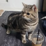 [댓글부탁해] 너네 겨울왕국 최애곡머냠