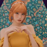 [이것좀봐줘] 진짜 김채원 이 사진 <b>요정</b>같지 않냐ㅠ