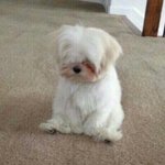 아 이거 행동판단 좀 해주셈 ㅋㅋㅠ