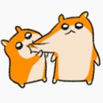 [드루와] <b>키미</b>테 부작용 ㅈㄴ심해