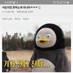 [댓글부탁해] <b>마요</b>