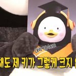 [모두드루와] 어릴때부터 키가 커서 왕따당했다는 아이돌