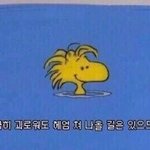 [드루와] 근데 난 진짜 오빠있음 <b>의지</b>될거같아