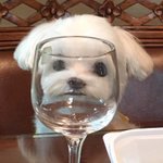 [댓글부탁해] ㄹㅇ쌤들한테 눈에 잘 띄는애 특징이 뭘까??