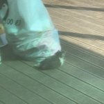 [댓글부탁해] 나보다 노<b>잼</b>으로 사는 인간 없을듯