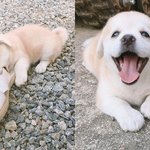 [드루와] 나 새학기 컨셉 이렇게 잡아야지