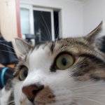니가 온 후로