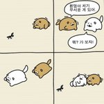 얘들아 짝남 나한테 마음 있었던 것 같음??