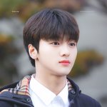 느그집 <b>준호</b>보다 차준호가 더 존잘ㅋ