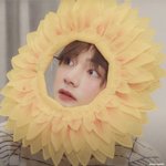 나 쌍수했당(<b>미방</b>)