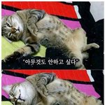 리바이 영상 <b>잠깐</b> 봤는데