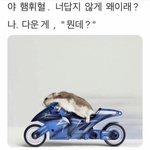 와 <b>켄토</b>는 무슨 애니영화는 다 찍냐