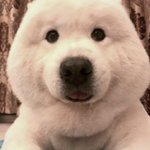 [댓글부탁해] <b>발렌타인</b>데이<b>때</b> 뭐 해주지 ㅊㅊ좀 ㅠㅠ