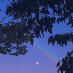 [댓글부탁해] 내가 좋아하는 유튜버가 로타 사진에 좋아요 누름....