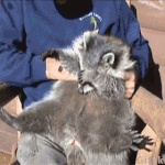 [댓글부탁해] 자기전에 john mayer 노래 들으면 진심 하...