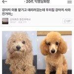 [드루와] 나도 최애 스무고개 ㄲㄲ