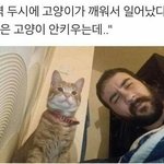 [드루와] 나 카드 정지당했는데 도와줘제ㅏ발