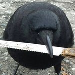[꼭조언부탁] 살 빼고 싶은데 팁 좀줘ㅠㅠㅜㅜ