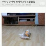 고3 다이어트 에바??
