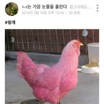 [<b>댓글</b>부탁해] 사랑니 썩은것도 어닌데 아플<b>수도</b> 있나