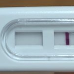 [19] 임신테스<b>트기</b>좀봐줘