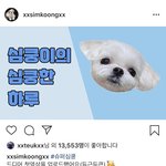 ㅅㅂㅋㅋㅋㅋㅠ이특개웃김