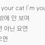 투바투 캣앤독 노래 함만 들어봐ㅋㅋㅋ