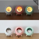 [드루와] 고양이 무드등 무슨 색 살까?