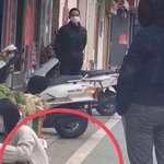 [댓글부탁해] <b>우한</b> 고양이