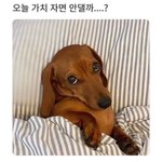 [ㅋㅋㅋㅋㅋ] 나 <b>누나소리</b>듣는거 극혐했는데