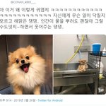 <b>민증</b> 나오는 전날에