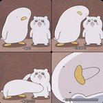 교과로 지거국 가려면 <b>어느</b>정도 해야<b>해</b>?