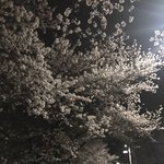 있잖아 고딩 되면 학원 끊고 <b>인강</b>