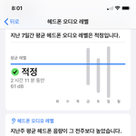 [드루와] 너네 이어폰<b>데시벨</b>몇이야?????