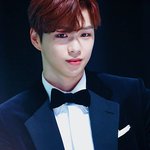 강다니엘 활동 재개 <b>확정</b>!!!