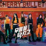 <b>체리블렛</b> 이번곡 잘 나온 거 같다