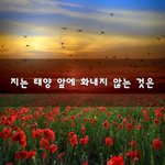 [울지말자] 지는 <b>태양</b> 앞에 화내지 않는 것은~