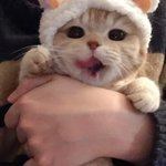 [조언부탁해] (눈사진있음) <b>쌍수</b> 할지 말지 조언해줘 ㅠㅠ