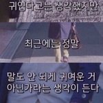 [EXO] <b>김종인</b> 오늘 댓글파티 완전 미쳤네
