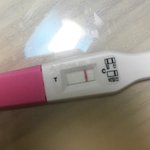 [19] 첫<b>소변</b> 임신테스트기