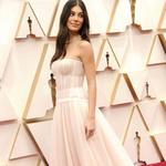 헐리웃 셀럽들의 아카데미 드레스