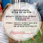 [강아지] <b>전주</b> 유기견돕기 바자회